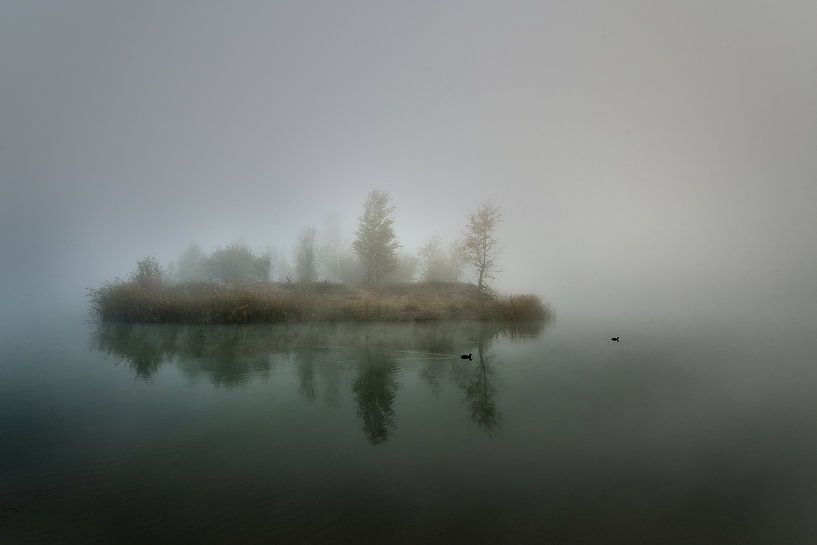 Nimmerland von Claudio Moretti