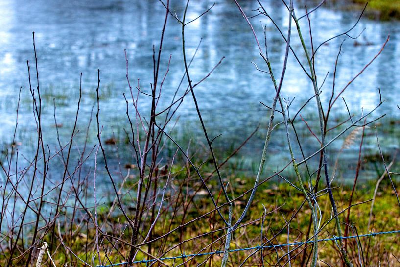 Natural beauty by SO fotografie