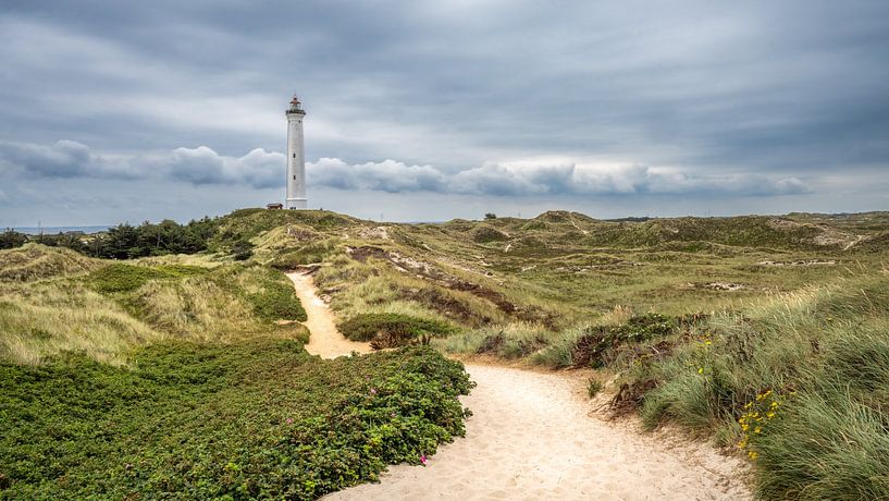 Lighthouse in the dunes van Guy Lambrechts