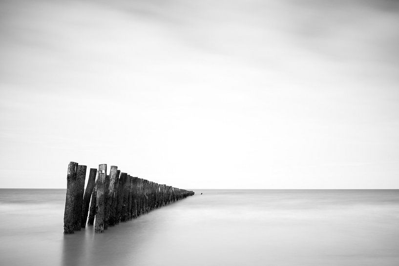 Paaltjes by Elles Rijsdijk