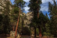 Yosemite Park