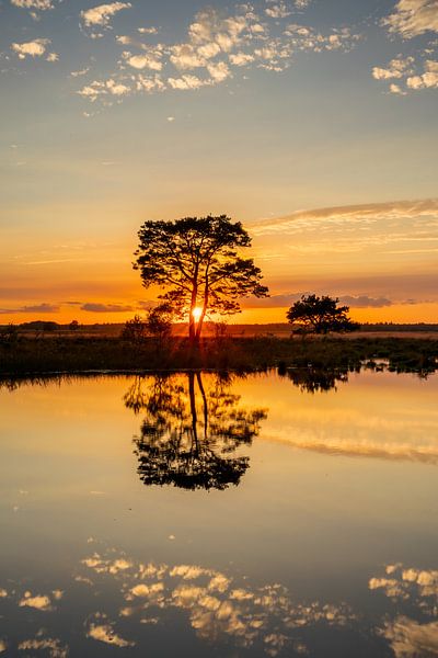 Schöner Sonnenuntergang auf dem Dwingelderveld von KB Design & Photography (Karen Brouwer)