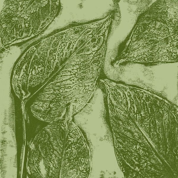 Green leaves. by Dina Dankers