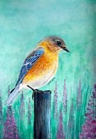 Sialia-Vogel mit rosa Blüten