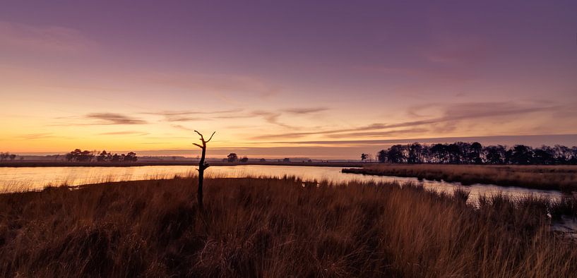 Strabrechtse Heide 164 van Deshamer