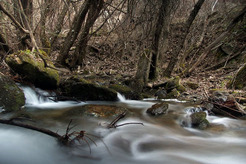 Der Fluss von Cornelis (Cees) Cornelissen