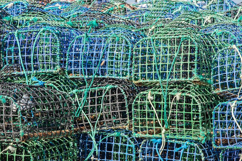 Viskooien par Yvonne van der Meij