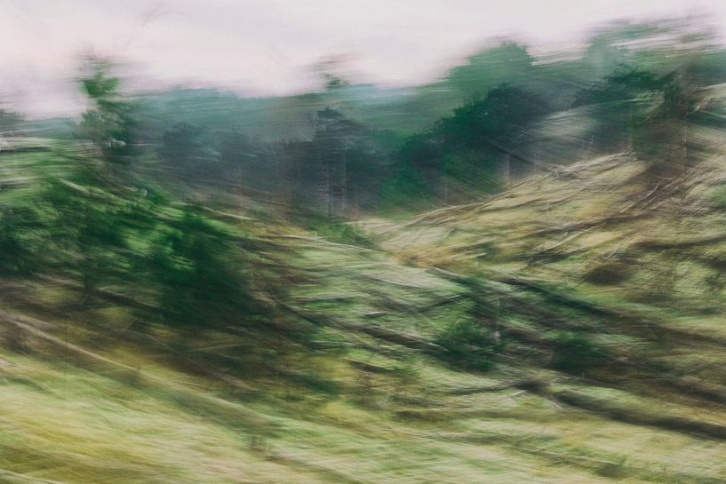 Bewegte Natur von Martien Coolegem