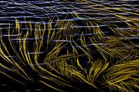 Durch Wind und Strömung geformte Linien im Wasser aus Gras.