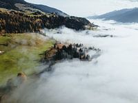Wald im Nebel über Mittersill Pinzgau Österreich Salzburgerland