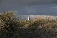Brise-lames nord de Scheveningen