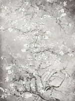 Mandelblüte schwarz und weiß