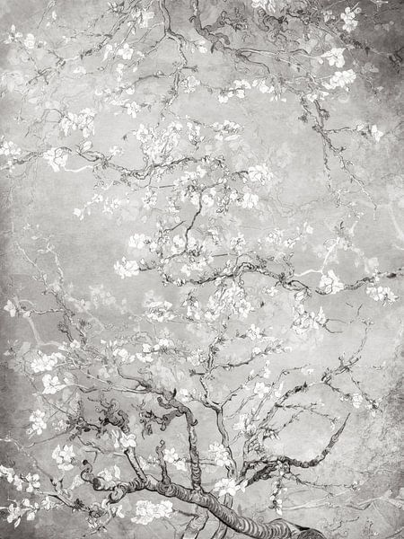Fleur d&#039;amandier noir et blanc par Evavisser