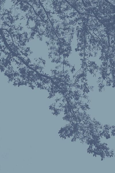 Screen print type Oak in blue earth tones by Raaf