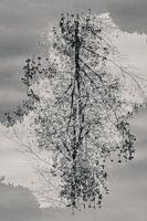 Mysteriöser Baum in schwarz-weiß