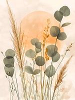 Eukalyptus bei Sonnenuntergang