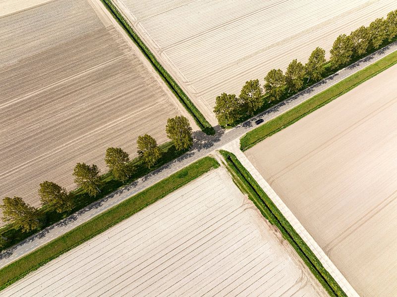 Carrefour dans un paysage rural vu d'en haut par Sjoerd van der Wal Photographie