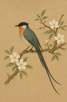 Oiseau éthéré de l'immobilité