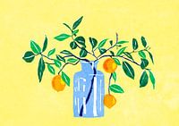Orange Tree
