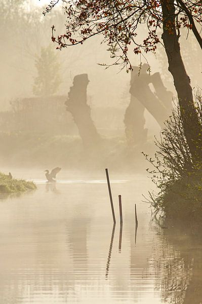 Landschap in de vroege morgen van Dirk van Egmond