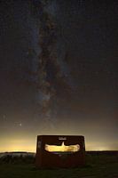 Eagle in the Milky Way