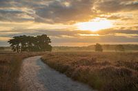 Sunrise on the Regte Heide.