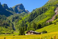 The Aigenalm in Grossarl