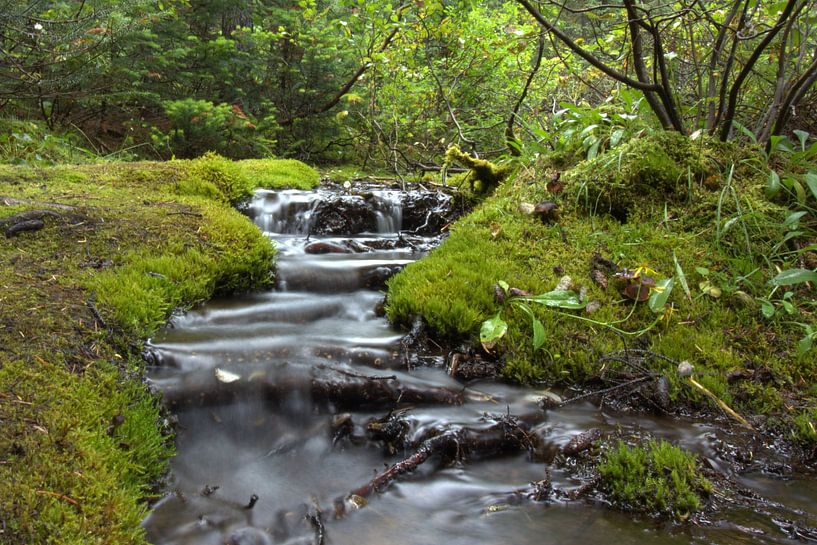 Frisheid von Gian Kerstges