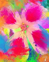 Woodstock deuxième partie