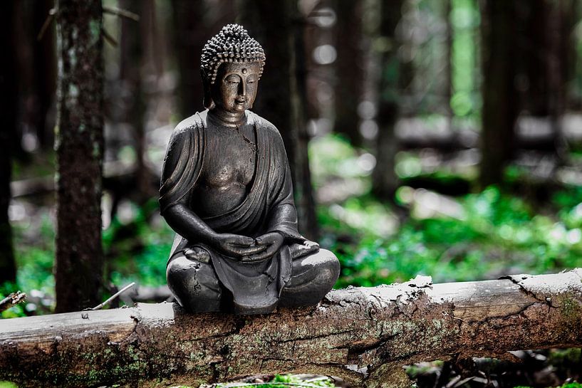 Méditation par Jürgen Wiesler