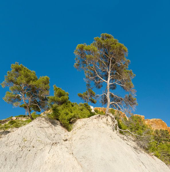 Anse de l’Arlene, Cassis, Bouches du Rhône, Frankreich von Rene van der Meer