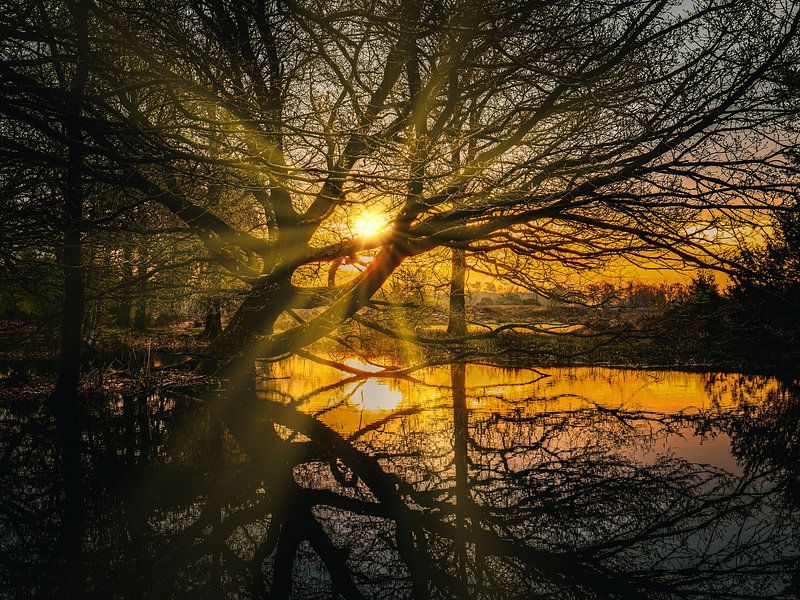 Sunburst von snippefotografie