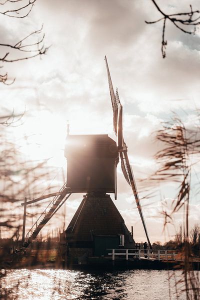 Windmill of Kinderdijk by The Wild Scribe Prints