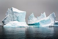 Antarctica 1