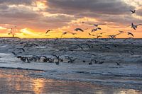 Sonnenuntergang in Scheveningen