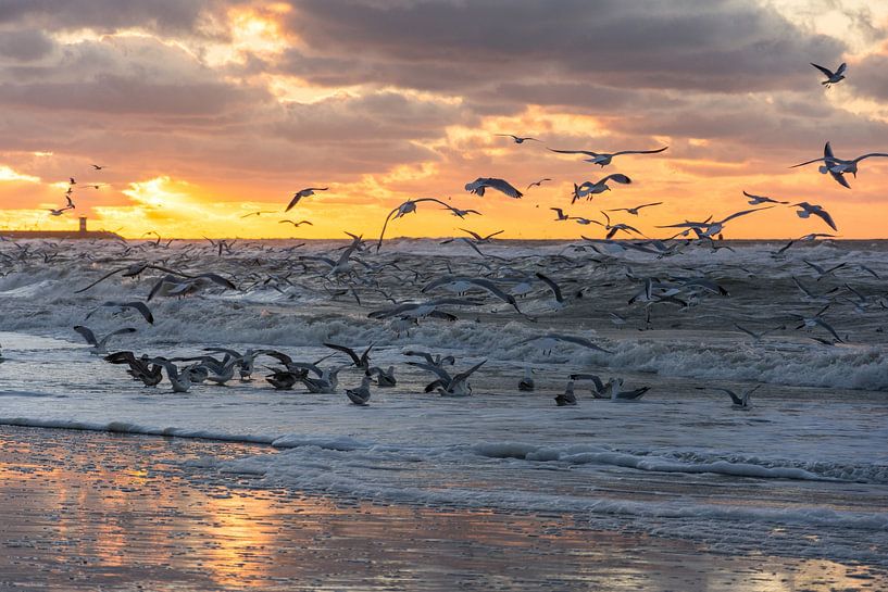 Sunset in Scheveningen by Marian Sintemaartensdijk