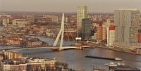 Erasmus-Brücke Rotterdam