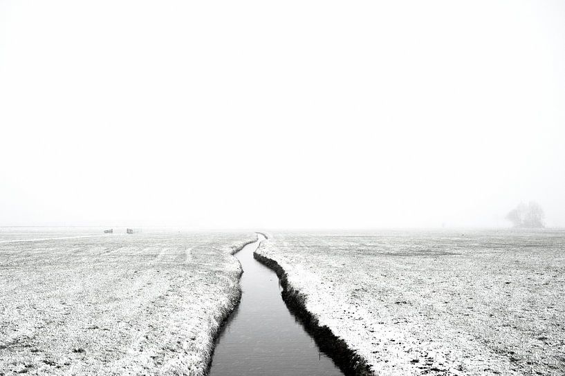 Paysage rural hivernal par une froide matinée d'hiver par Sjoerd van der Wal Photographie
