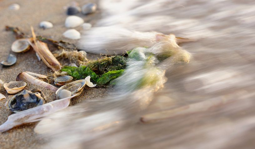 golf in de branding par Dirk van Egmond