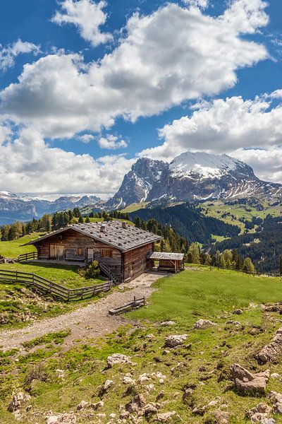 Alpine huts on the Alpe di Siusi, South Tyrol by Christian Müringer
