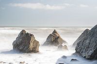 Die Küste in erdigen Pastelltönen