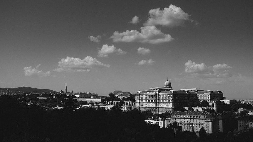 Panorama of the Hungarian Castle of Buda by Studio Keserű