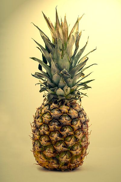 Stilleven met een ananas van Humphry Jacobs