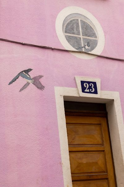 Rue de cremieux, Straßenfotografie von Nynke Altenburg
