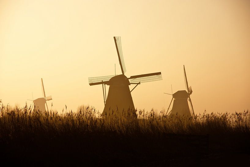 Silhouettes Kinderdijk in colour by Teuni's Dreams of Reality