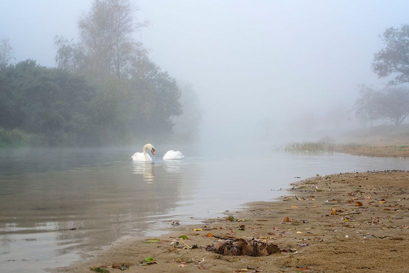 Serene autumn morning in the Water Supply Dunes by KCleBlanc Photography