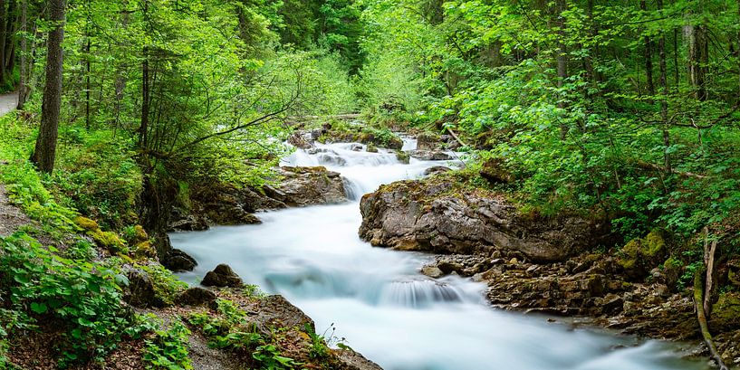 mountain stream in the Allgäu by Walter G. Allgöwer