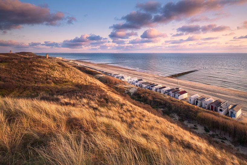 Golden moment by Sander Poppe