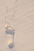 Voetafdruk in het Zand