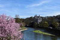 Lente aan de Ourthe